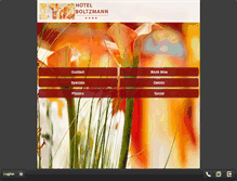 Tablet Screenshot of hotelboltzmann.at